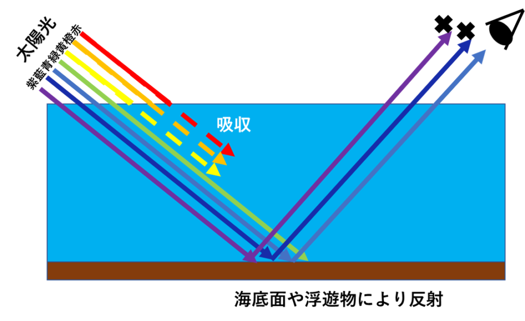 青い赤ちゃんのうんち